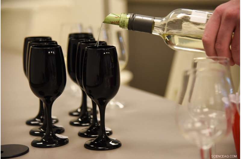 Wine Origin Trumps Taste in Pricing: New Study Reveals Consumer Preferences