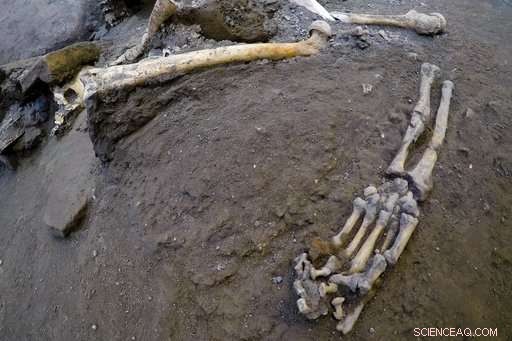 Pompeii Dig Uncovers Five Preserved Skeletons from Vesuvius Catastrophe