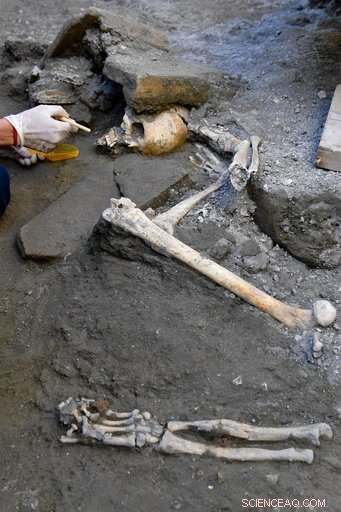 Pompeii Dig Uncovers Five Preserved Skeletons from Vesuvius Catastrophe
