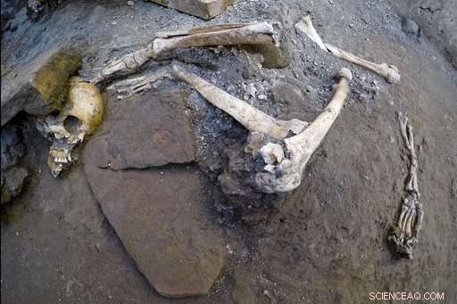Pompeii Dig Uncovers Five Preserved Skeletons from Vesuvius Catastrophe