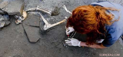 Pompeii Dig Uncovers Five Preserved Skeletons from Vesuvius Catastrophe