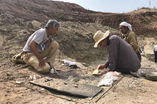 China s Construction Boom Unearths 100‑Million‑Year‑Old Dinosaurs
