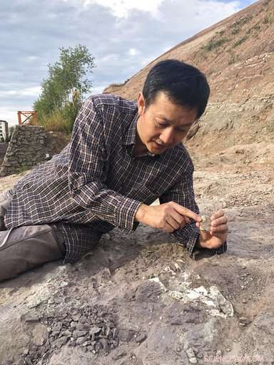 China s Construction Boom Unearths 100‑Million‑Year‑Old Dinosaurs