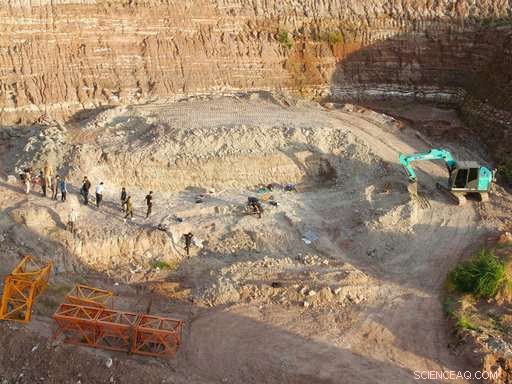 China s Construction Boom Unearths 100‑Million‑Year‑Old Dinosaurs