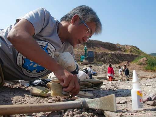 China s Construction Boom Unearths 100‑Million‑Year‑Old Dinosaurs