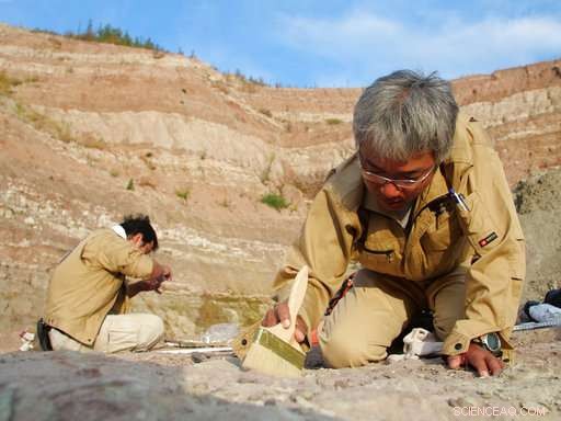 China s Construction Boom Unearths 100‑Million‑Year‑Old Dinosaurs