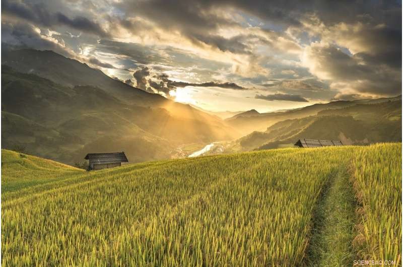 Americans Misjudge Minorities  Environmental Concerns, New Study Finds