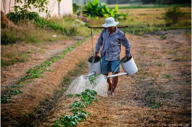 Study Reveals Systemic Failures Exposing Migrant Workers to Wage Theft