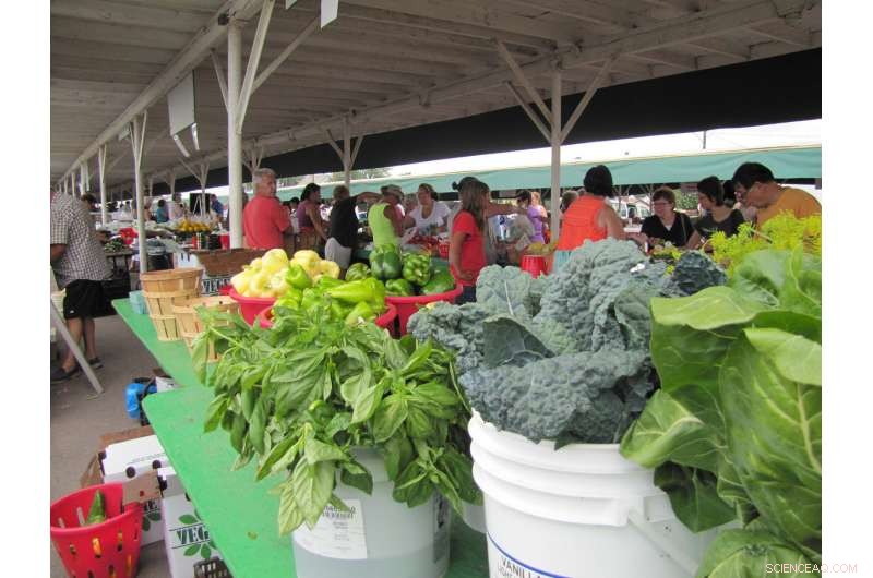 Farmers Market Vendors Urged to Enhance Food‑Safety Practices Through Targeted Training