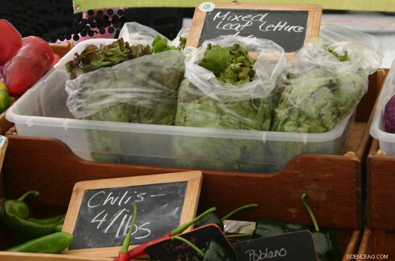 Farmers Market Vendors Urged to Enhance Food‑Safety Practices Through Targeted Training