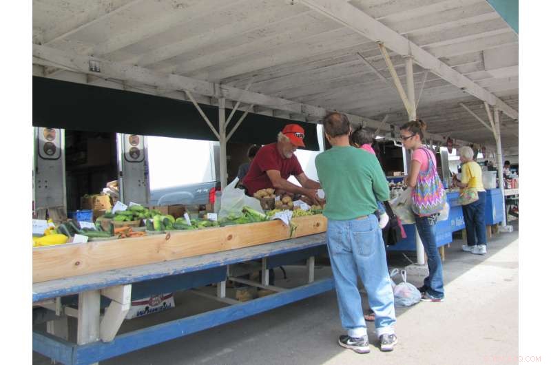 Farmers Market Vendors Urged to Enhance Food‑Safety Practices Through Targeted Training