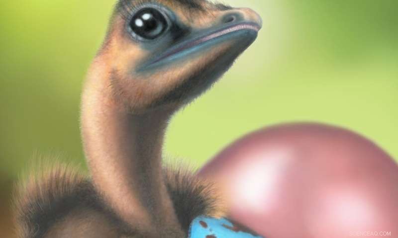 New Research Reveals Dinosaur Origins of Modern Bird Egg Coloration