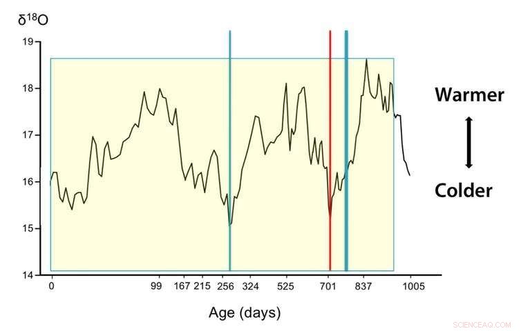 What Fossil Teeth Reveal About Ancient Human Lifestyles and Neanderthal Environments
