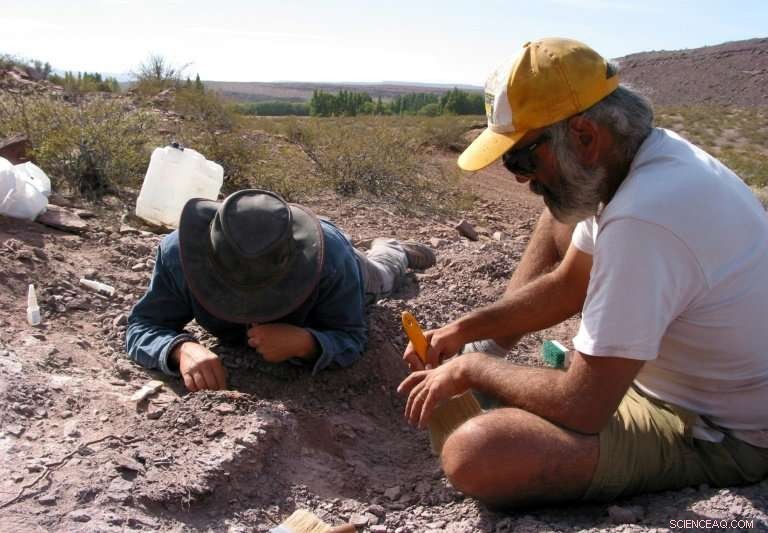 New Sauropod Species Unearthed in Argentina by Leading Paleontologists