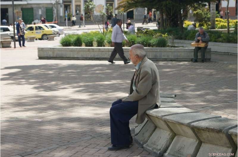 Study Reveals Urban Regeneration Can Isolate Seniors, Urging Age‑Friendly City Planning