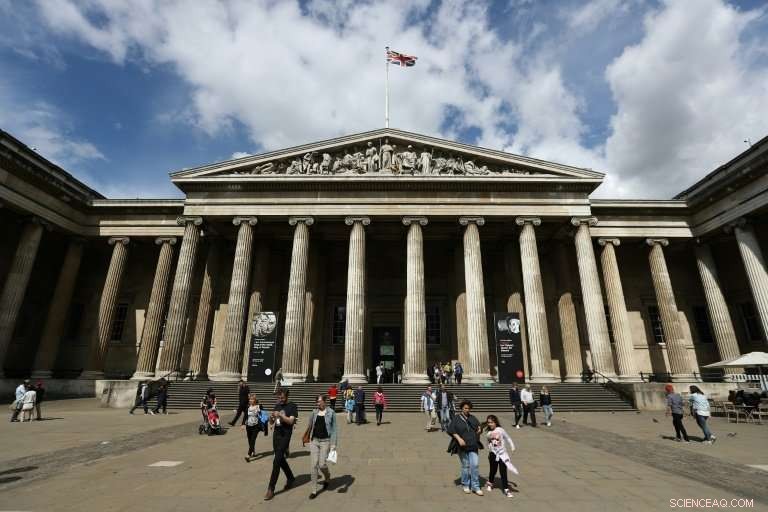 Chile Seeks Return of Extinct Patagonian Sloth Remains from British Museum