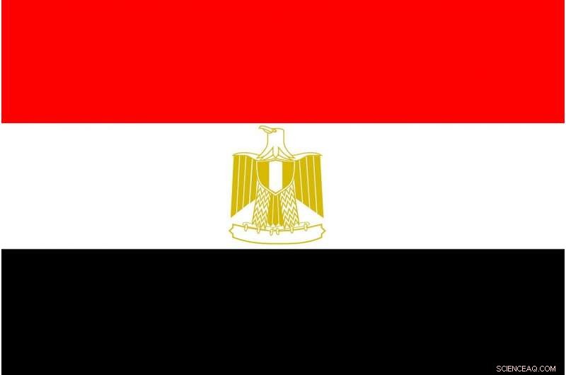 Graffiti Analysis Reveals Key Insights into Egypt’s 2011 Uprising