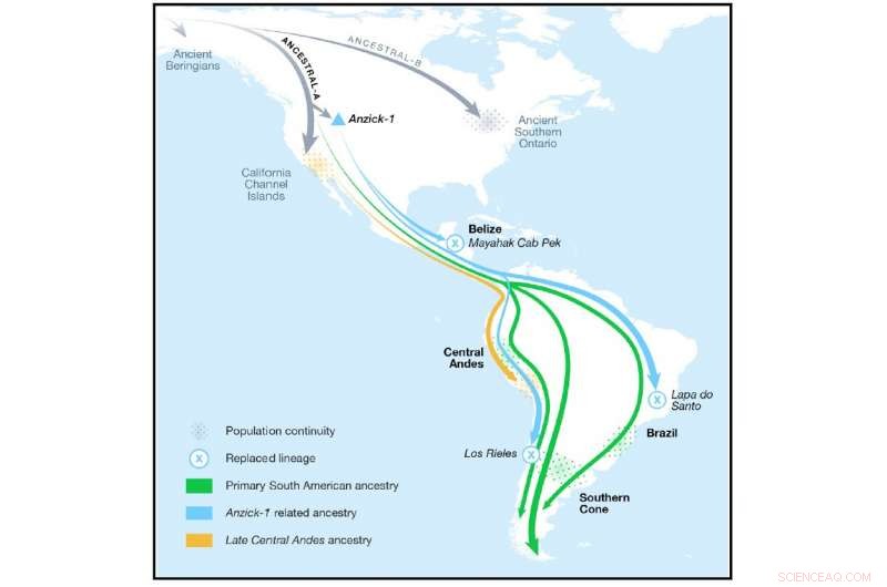 New Ancient DNA Study Reveals Surprising Genetic Connections Across Central and South America