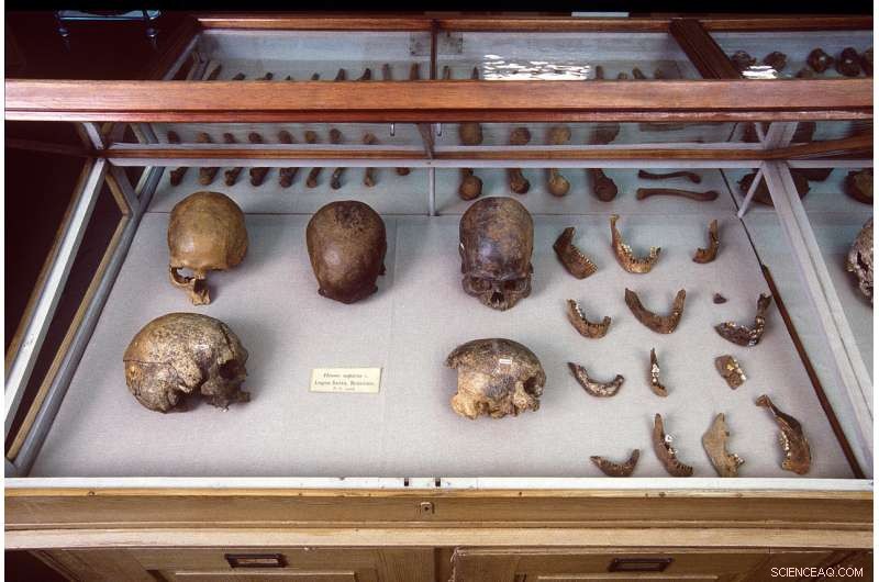 DNA Uncovers Ancient Mummy s Connection to Ice Age Native American Tribes