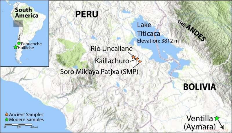 Ancient Andean Genomes Illuminate Human Settlement and Survival