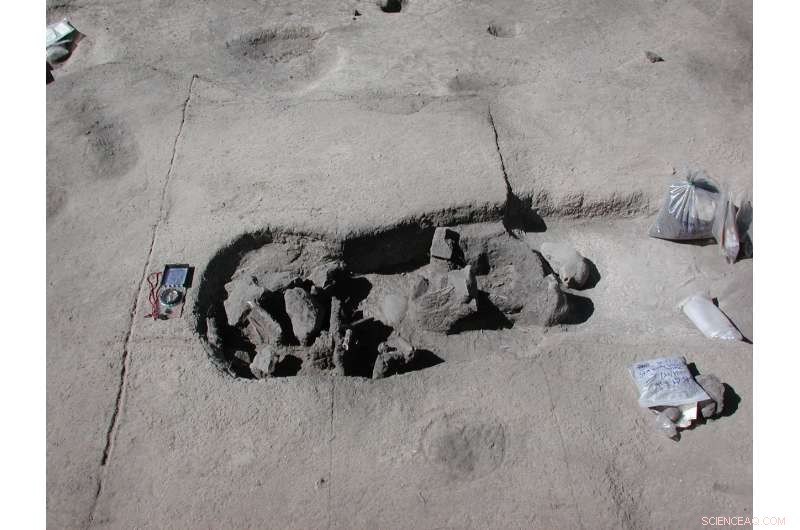 Ancient Andean Genomes Illuminate Human Settlement and Survival