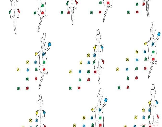 Revolutionary Discovery: Oldest Reptile Footprints Found in Grand Canyon