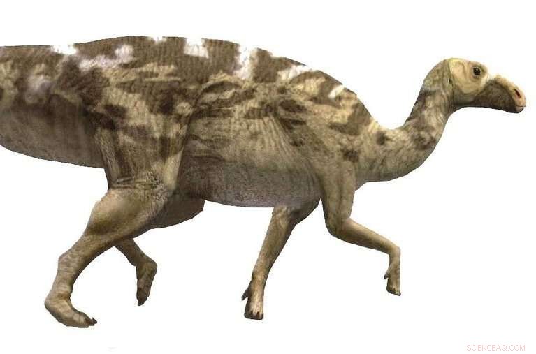 New Study Reveals Europe s Most Comprehensive Hadrosaur Fossil Site