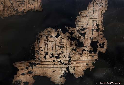 New Egyptian Tombs Unearthed, Containing Mummified Cats and Wooden Animal Statues