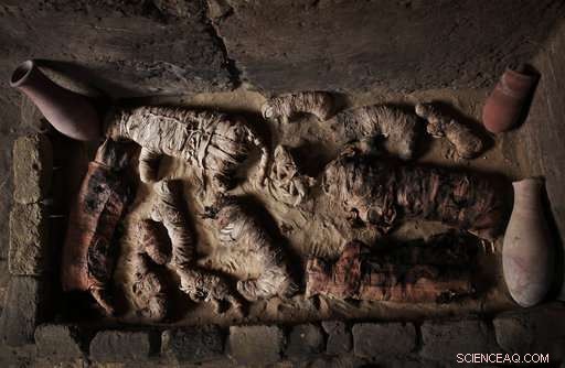 New Egyptian Tombs Unearthed, Containing Mummified Cats and Wooden Animal Statues