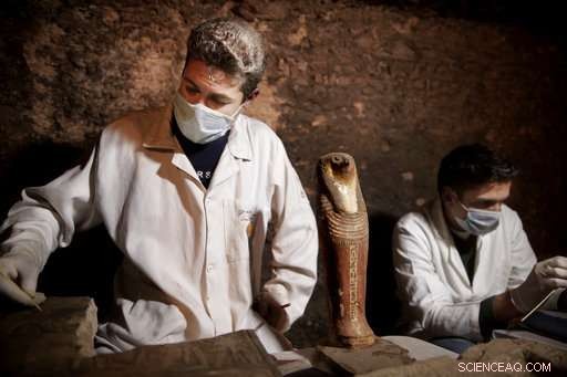 New Egyptian Tombs Unearthed, Containing Mummified Cats and Wooden Animal Statues