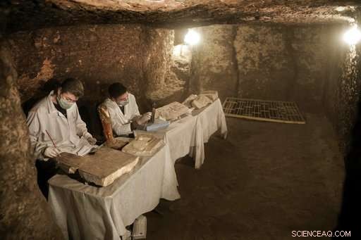 New Egyptian Tombs Unearthed, Containing Mummified Cats and Wooden Animal Statues