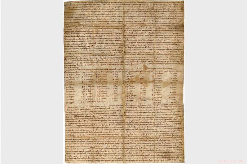 Revealed: A Historian’s Fresh Perspective on the Domesday Book’s Origins