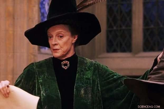 University Professor Analyzes Hogwarts Faculty: A Scholarly Review