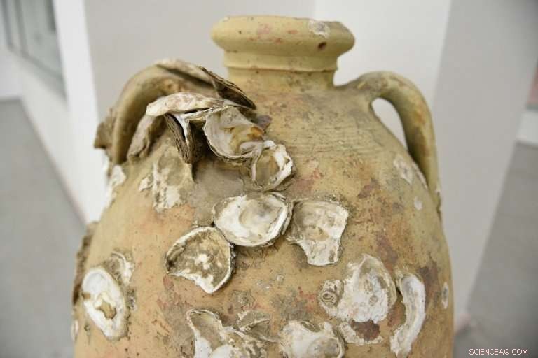 Looters Target Albania’s Sunken Treasures