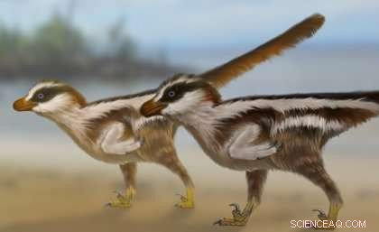 Tiny Raptor Footprints Uncover Major Dinosaur Discovery