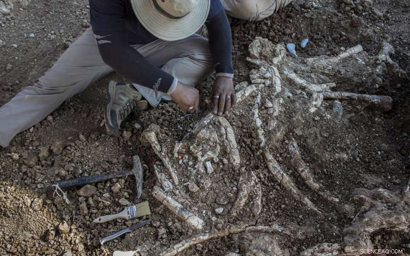 Equivalence Testing: A Fresh Tool to Reinterpret Scientific  Negative  Results