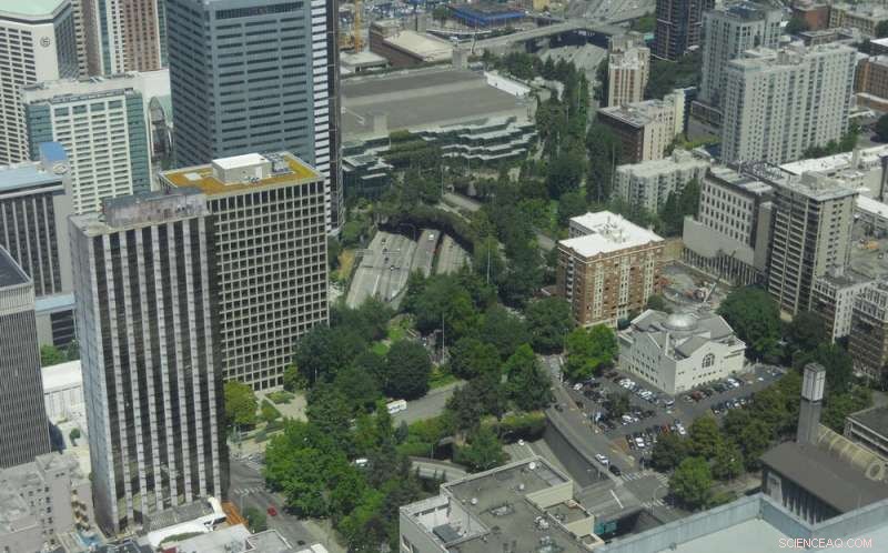 Urban Parks: Their Health Benefits Depend on Community Use