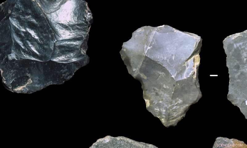 Early Levallois Toolmaking Revealed in China: A Reassessment of East Asian Human Evolution