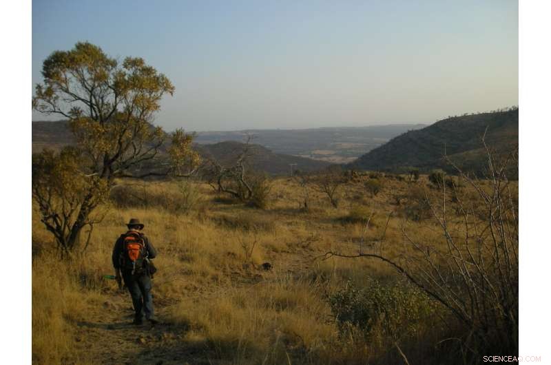 New Timeline of Cradle of Humankind Fossils Reveals South Africa s Hominin Evolution