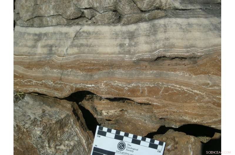 New Timeline of Cradle of Humankind Fossils Reveals South Africa s Hominin Evolution