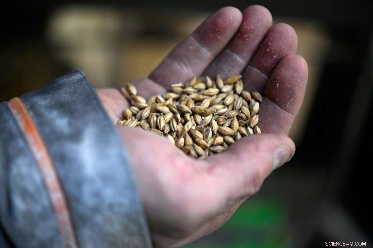 France Enters the Whisky Arena: 79 Brands on the Market