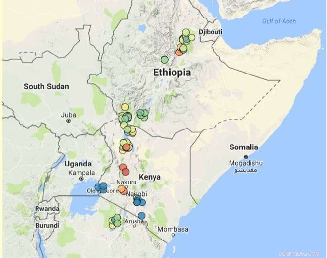 New Study Shows Human Ancestors Unlikely Drivers of Ancient African Mammal Extinctions