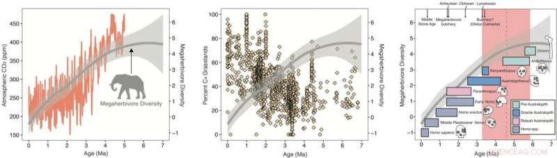 New Study Shows Human Ancestors Unlikely Drivers of Ancient African Mammal Extinctions