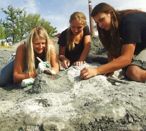 Polish Scientists Unearth Massive Triassic Herbivore, Redefining Prehistoric Giants