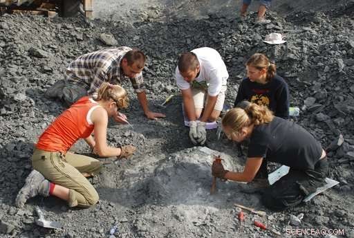 Polish Scientists Unearth Massive Triassic Herbivore, Redefining Prehistoric Giants