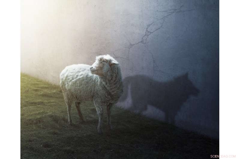 Rethinking Disruption: Innovation Requires More Than Chaos