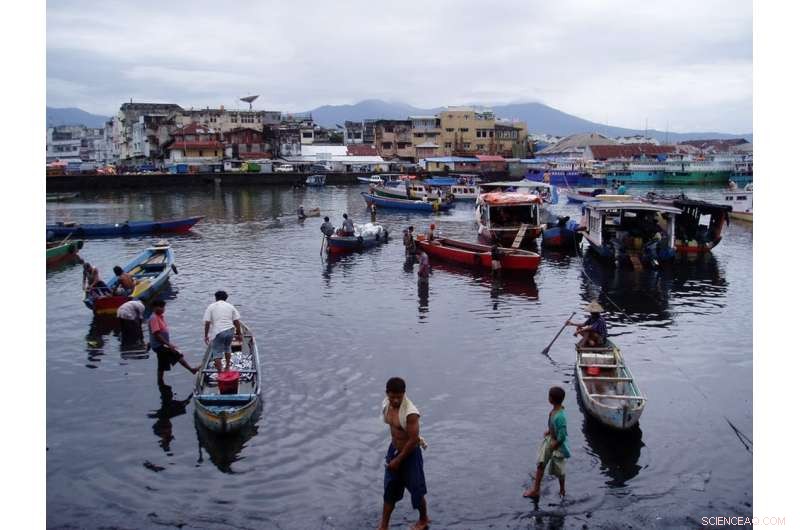 Climate Change Accelerates Language Loss on Sulawesi’s Coast