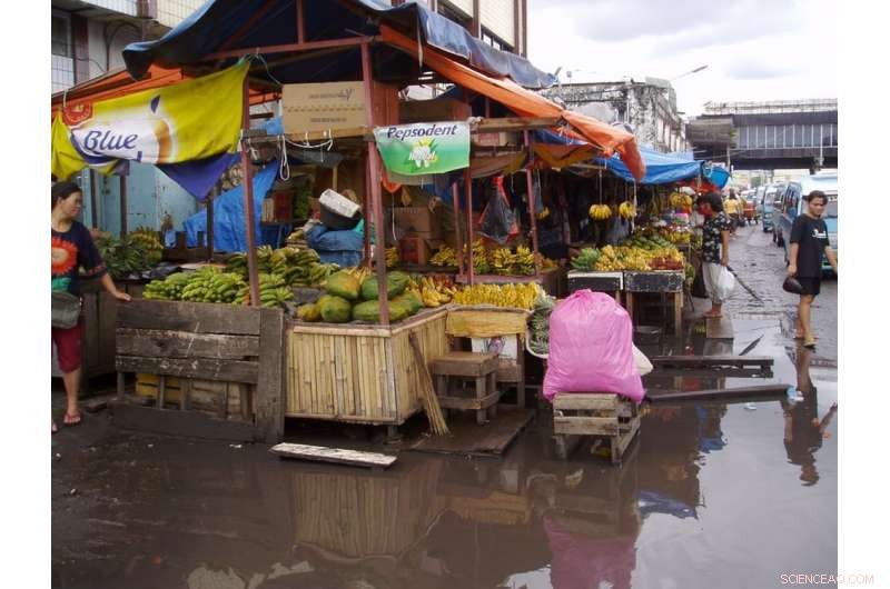 Climate Change Accelerates Language Loss on Sulawesi’s Coast