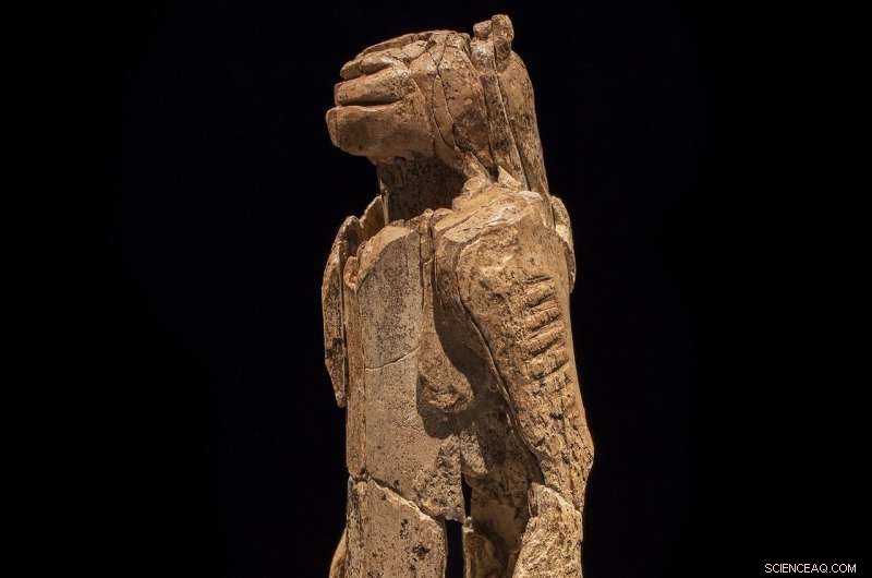 Cave Paintings Reveal Ancient Astronomical Mastery