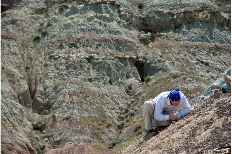 New Discovery Suggests North American Origins for the Earliest Modern Primate Ancestor